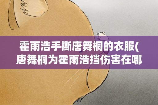 霍雨浩手撕唐舞桐的衣服(唐舞桐为霍雨浩挡伤害在哪章)