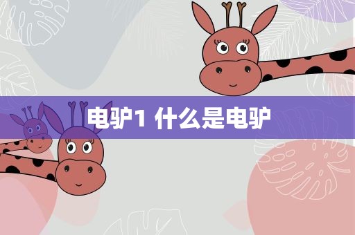 电驴1 什么是电驴