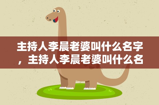 主持人李晨老婆叫什么名字，主持人李晨老婆叫什么名字呢