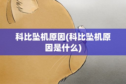 科比坠机原因(科比坠机原因是什么)