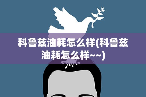 科鲁兹油耗怎么样(科鲁兹油耗怎么样~~)