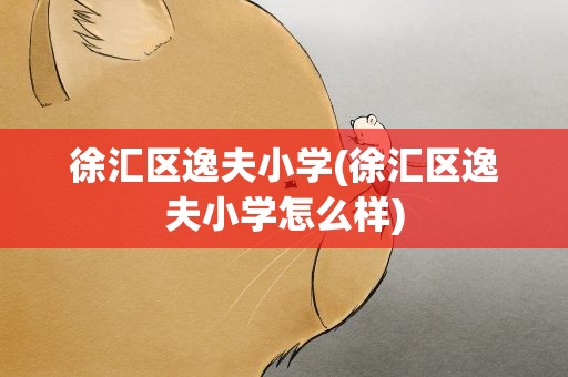 徐汇区逸夫小学(徐汇区逸夫小学怎么样)