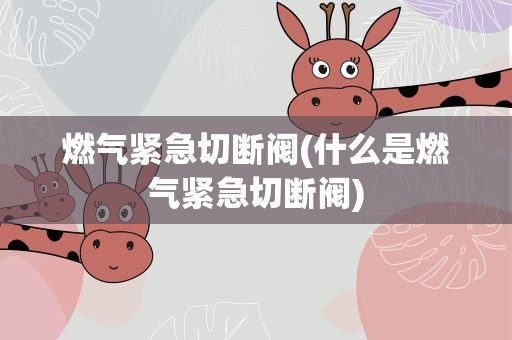 燃气紧急切断阀(什么是燃气紧急切断阀)