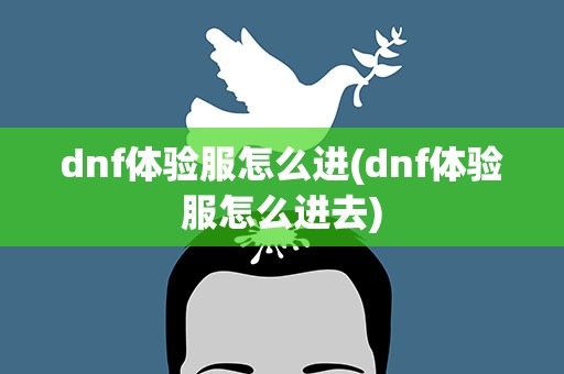 dnf体验服怎么进(dnf体验服怎么进去)