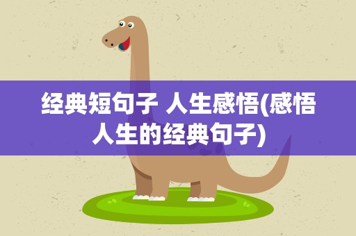 经典短句子 人生感悟(感悟人生的经典句子)