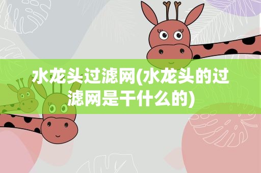 水龙头过滤网(水龙头的过滤网是干什么的)
