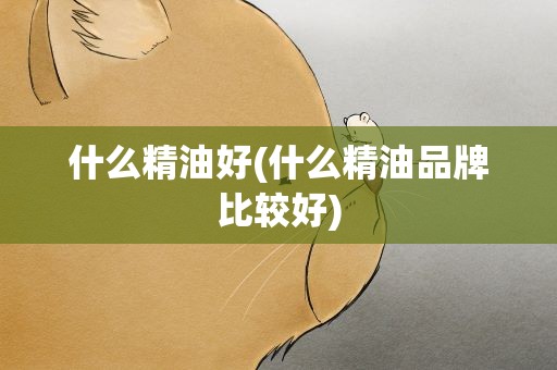 什么精油好(什么精油品牌比较好)