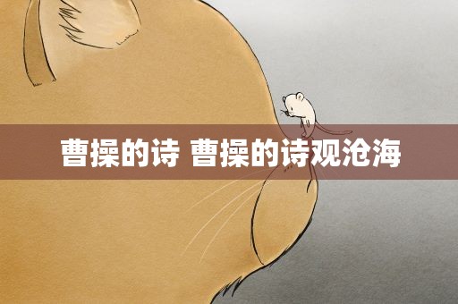 曹操的诗 曹操的诗观沧海