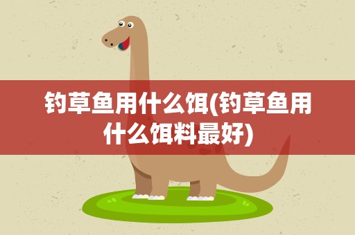 钓草鱼用什么饵(钓草鱼用什么饵料最好)