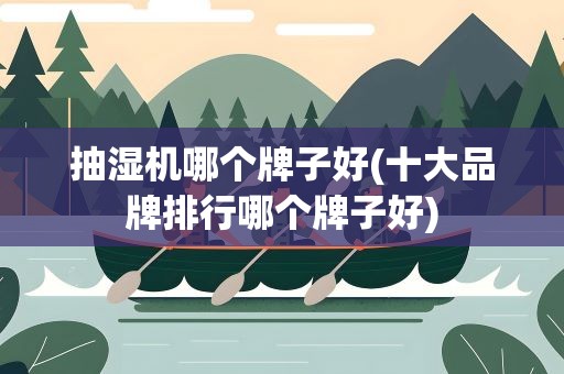 抽湿机哪个牌子好(十大品牌排行哪个牌子好)