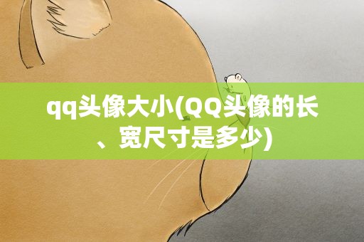 qq头像大小(QQ头像的长、宽尺寸是多少)