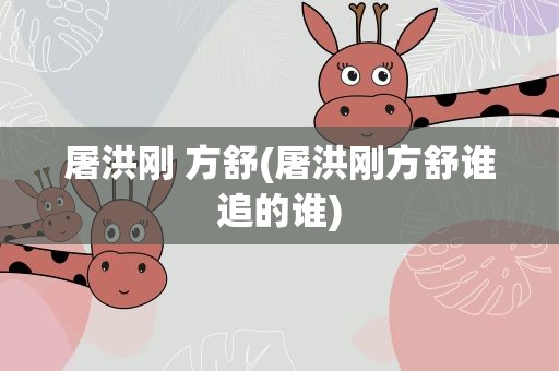 屠洪刚 方舒(屠洪刚方舒谁追的谁)