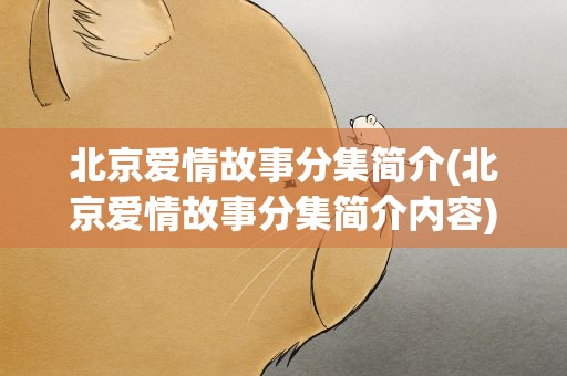 北京爱情故事分集简介(北京爱情故事分集简介内容)