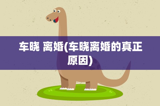 车晓 离婚(车晓离婚的真正原因)