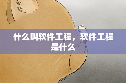 什么叫软件工程，软件工程是什么