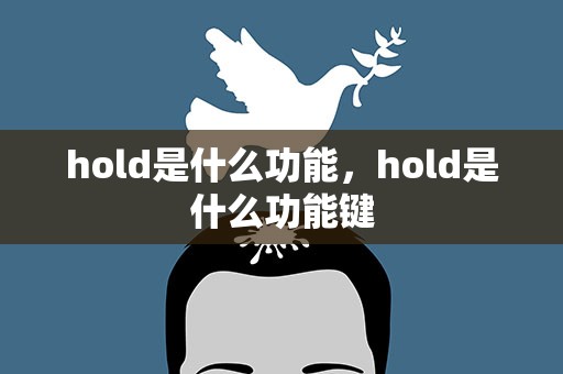 hold是什么功能，hold是什么功能键