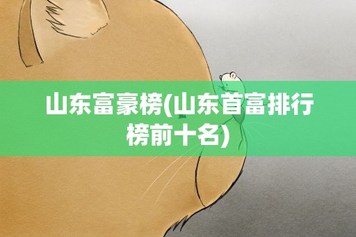 山东富豪榜(山东首富排行榜前十名)