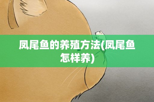 凤尾鱼的养殖方法(凤尾鱼怎样养)