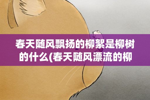 春天随风飘扬的柳絮是柳树的什么(春天随风漂流的柳絮是柳树的什么)