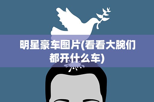 明星豪车图片(看看大腕们都开什么车)