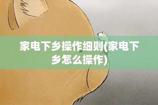 家电下乡操作细则(家电下乡怎么操作)