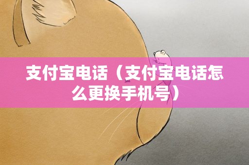 支付宝电话（支付宝电话怎么更换手机号）