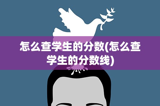 怎么查学生的分数(怎么查学生的分数线)
