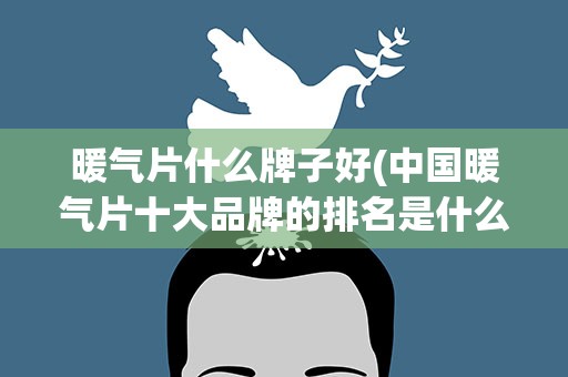暖气片什么牌子好(中国暖气片十大品牌的排名是什么)