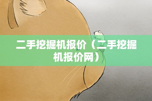 二手挖掘机报价（二手挖掘机报价网）