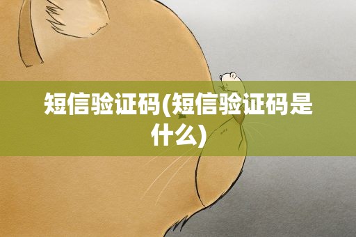短信验证码(短信验证码是什么)