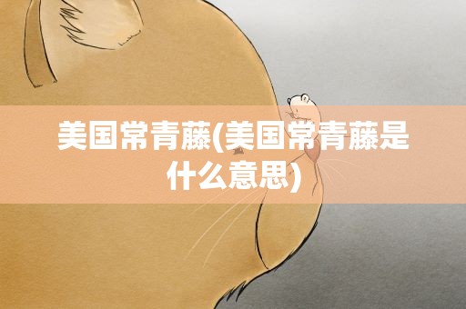 美国常青藤(美国常青藤是什么意思)