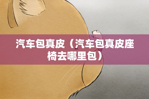 汽车包真皮（汽车包真皮座椅去哪里包）