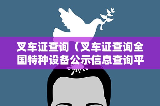 叉车证查询（叉车证查询全国特种设备公示信息查询平台）