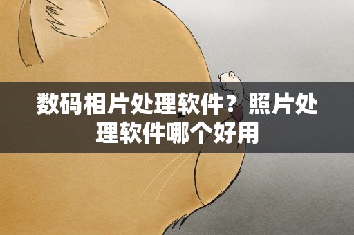 数码相片处理软件？照片处理软件哪个好用