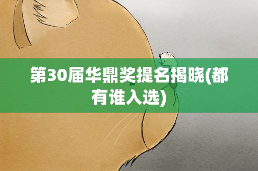 第30届华鼎奖提名揭晓(都有谁入选)