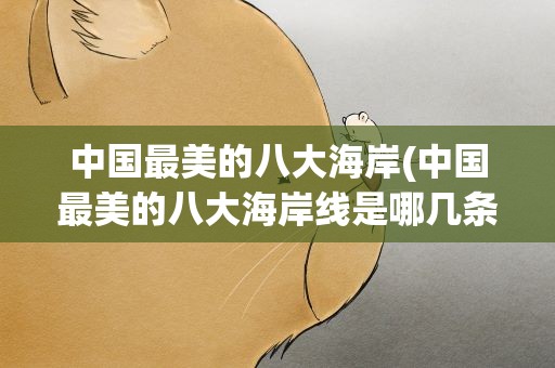 中国最美的八大海岸(中国最美的八大海岸线是哪几条)