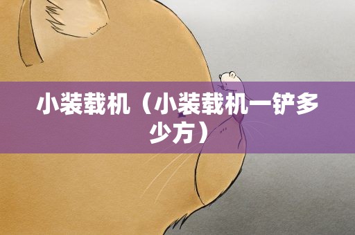 小装载机（小装载机一铲多少方）