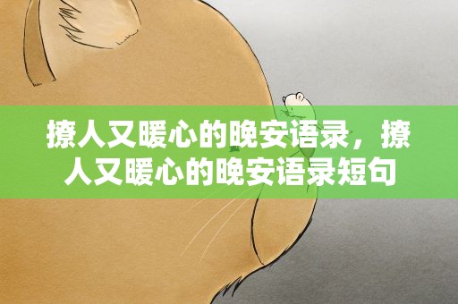 撩人又暖心的晚安语录，撩人又暖心的晚安语录短句