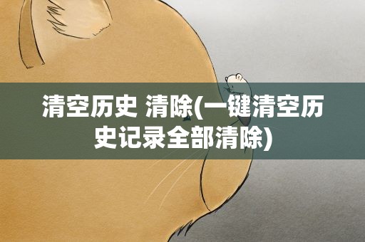 清空历史 清除(一键清空历史记录全部清除)