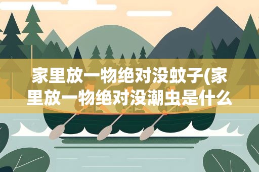 家里放一物绝对没蚊子(家里放一物绝对没潮虫是什么)