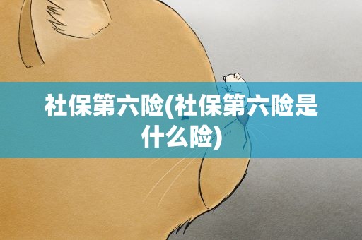 社保第六险(社保第六险是什么险)