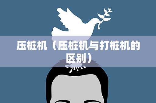 压桩机（压桩机与打桩机的区别）