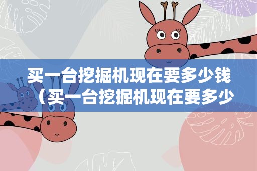 买一台挖掘机现在要多少钱（买一台挖掘机现在要多少钱大型）