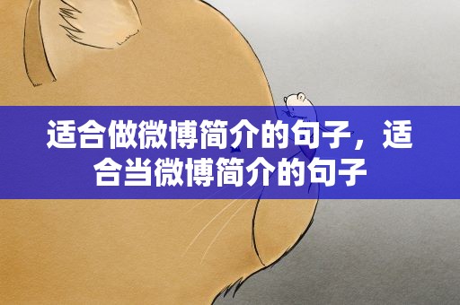 适合做微博简介的句子，适合当微博简介的句子