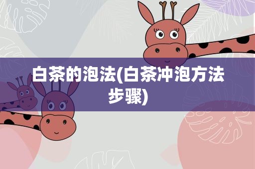白茶的泡法(白茶冲泡方法步骤)