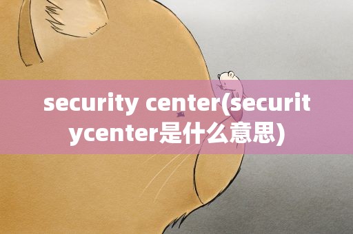 security center(securitycenter是什么意思)