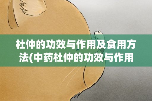 杜仲的功效与作用及食用方法(中药杜仲的功效与作用及食用方法)