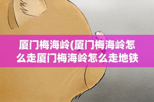 厦门梅海岭(厦门梅海岭怎么走厦门梅海岭怎么走地铁)