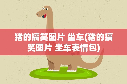 猪的搞笑图片 坐车(猪的搞笑图片 坐车表情包)