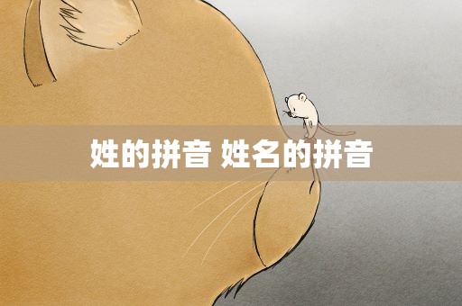 姓的拼音 姓名的拼音